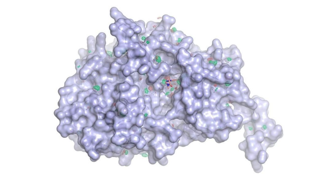 What is Gain Therapeutics’s SEE-Tx Platform and How Does it Work