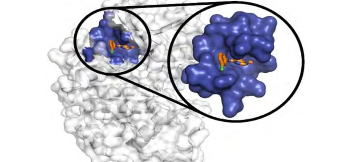 Gain Therapeutics’ SEE-Tx Platform ompared to Other Drug Discovery Platforms