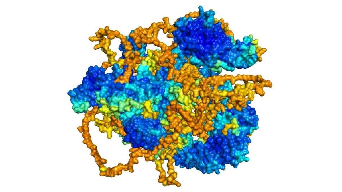 Protein Folding Structure Prediction Posters Examples Figure 3 From