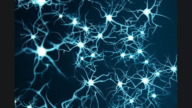 Neurodegenerative Disorders