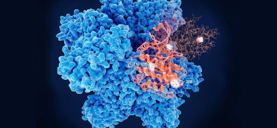 How is Gain Therapeutics targeting allosteric sites to create novel drugs?