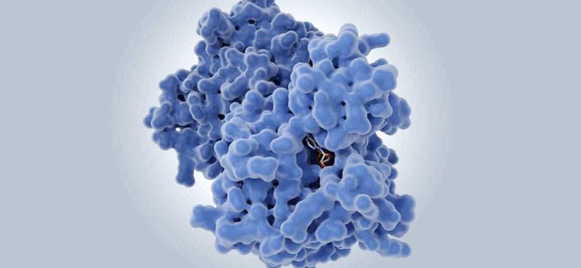 Potential impact of Allosteric Drugs on Cancers, Neurodegenerative Diseases, and other serious diseases