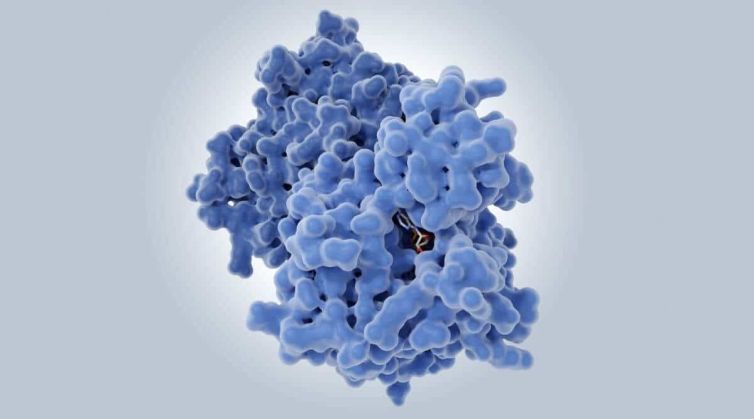 Potential impact of Allosteric Drugs on Cancers, Neurodegenerative Diseases, and other serious diseases