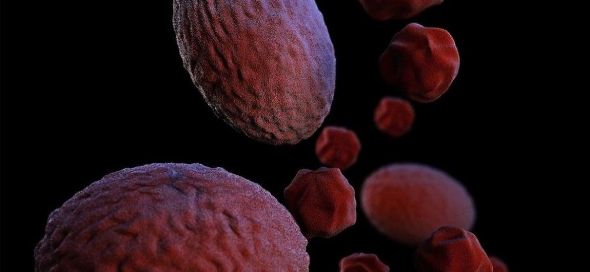 The Relationship Between Prion Disease and Other Protein-Misfolding Diseases