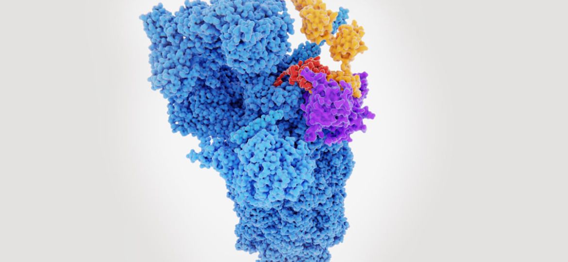 Protein Degradation via PROTAC