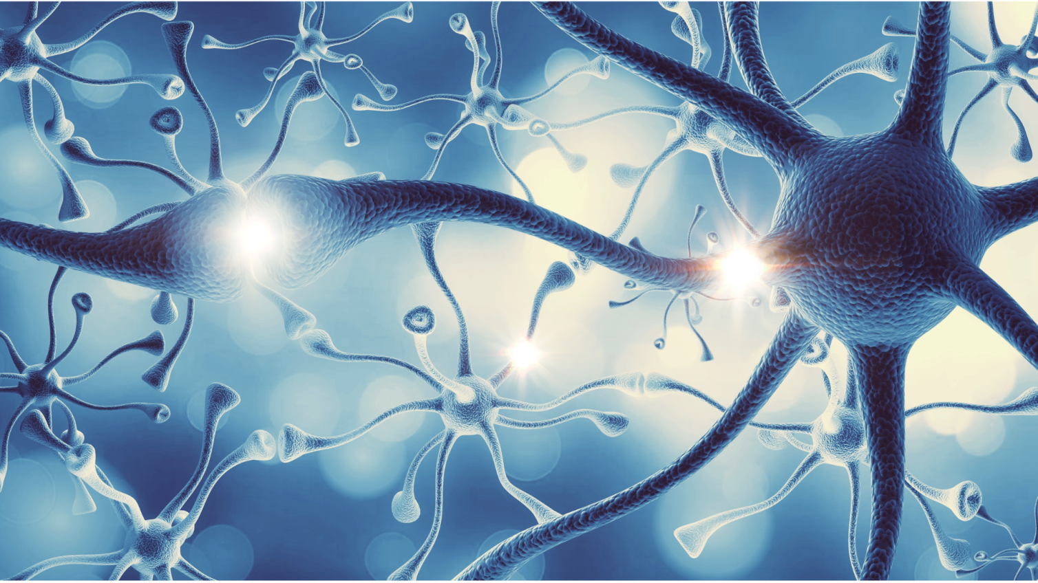 Importance of Neurodegenerative Disease Biomarkers