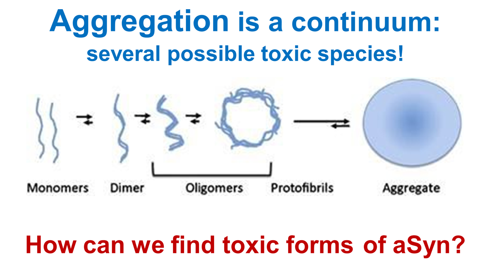Research on Alpha-Synuclein and Expansion Microscopy