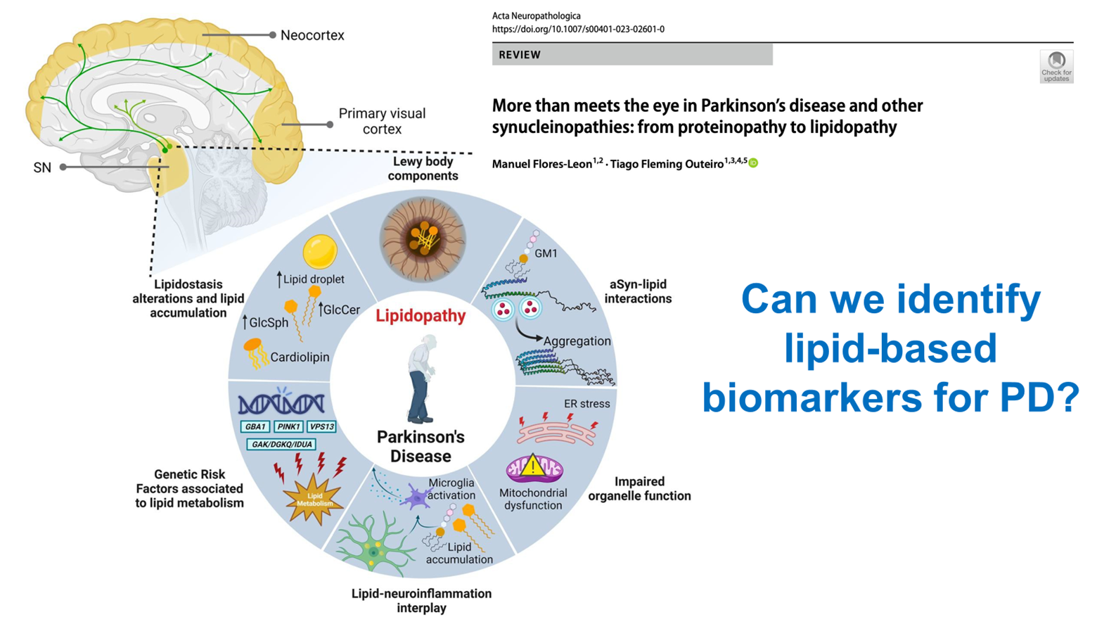 Exploring Lipids and New Therapeutic Approaches in Parkinson’s Disease