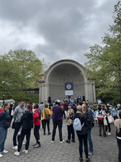 Parkinson’s disease walk