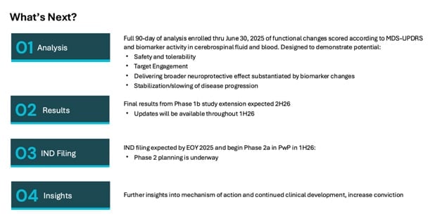 Image presenting next steps in the development of the strokes.